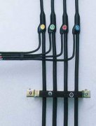 0.6-1KV塑料絕緣及護套預分支電力電纜